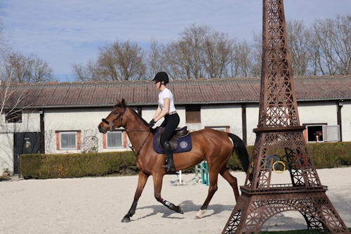 Pension propriétaire Saulx-les-Chartreux - JK Equestrian Academy
