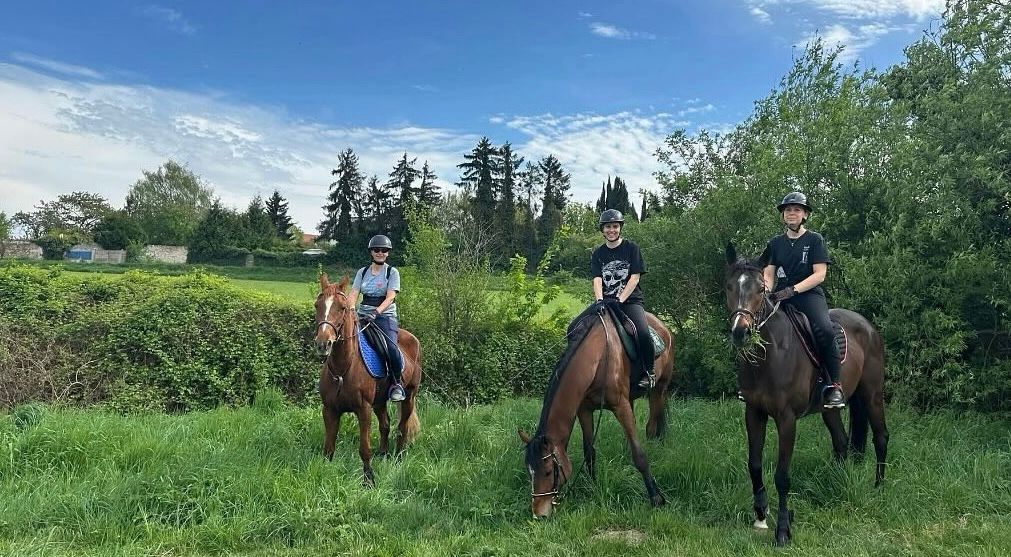 Balade en forêt au départ de la JK Equestrian Academy